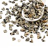  Natural Dalmatian Jasper Chip Beads G-M055-04-1