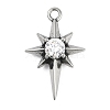 316 Surgical Stainless Steel Micro Pave Cubic Zirconia Pendants LS-STAS-G349-01AS-02-1