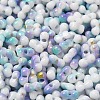 Baking Paint Glass Seed Beads SEED-F005-01A-09-3