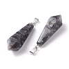 Natural Larvikite Pointed Pendants G-I314-02P-10-3