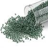 TOHO Round Seed Beads SEED-TR11-1070-1