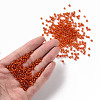 8/0 Glass Seed Beads X1-SEED-A005-3mm-29B-4