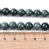 Natural Blue Jade Beads Strands G-H341-8mm-02-5