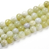 Natural Green Jade Beads Strands G-G844-01-10mm-1