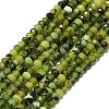 Natural Jade Beads Strands G-G106-A43-02-1