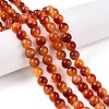 Dyed Natural White Jade Beads Strands G-T138-8mm-210-30-1