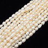 Natural Cultured Freshwater Pearl Beads Strands PEAR-L001-A-20-1