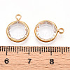 K9 Glass Charms GLAA-T023-37A-02-3