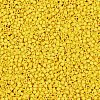 MIYUKI Delica Beads X-SEED-J020-DB2284-2