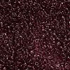 FGB 8/0 Grade A Round Glass Seed Beads SEED-Q006-3mm-F10-3