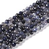 Natural Iolite Beads Strands LS-G-G139-A11-03-1
