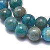 Natural Apatite Beads Strands G-F617-01-10mm-3