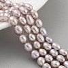 Natural Cultured Freshwater Pearl Beads Strands PEAR-P062-08J-2