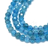 Natural Apatite Beads Strands G-G106-C06-01-3