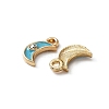 Zinc Alloy Enamel Charms ENAM-TAC0002-52E-2