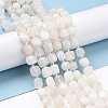 Natural Rainbow Moonstone Beads Strands G-K323-11-1