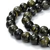 Natural Serpentine Beads Strands G-F709-01-2