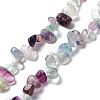 20Pcs Natural Fluorite Beads G-FS0001-57-1