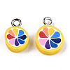 Handmade Polymer Clay Charms CLAY-T016-58-2