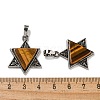 Natural Tiger Eye Pendants G-G147-08AS-09-3