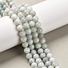 Natural Jadeite Beads Strands G-L568-001B-1