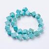 Natural Magnesite Beads Strands TURQ-K003-20B-2