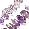 Natural Amethyst Beads Strands G-C179-D01-01-1