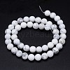 Round Natural Howlite Bead Strands LS-G-F222-14-8mm-3