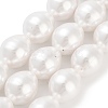 Electroplated Shell Pearl Beads Strands BSHE-H110-01-03-1