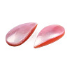 Natural Turbo Cornulus/Top Shells Cabochons SSHEL-N003-156B-4