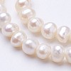 Natural Cultured Freshwater Pearl Beads Strands PEAR-F004-02-01-3