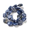 Natural Blue Spot Jasper Beads Strands G-F769-D01-02-3