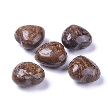 Natural Bronzite Heart Love Stone G-F659-B09