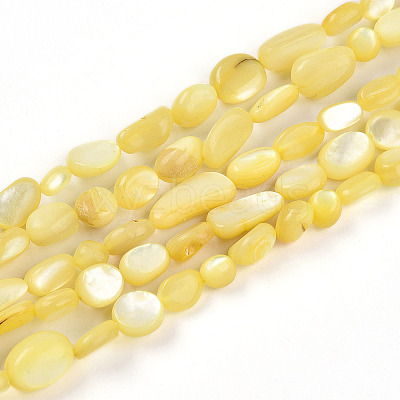 Natural White Shell Beads Strands SHEL-N036-21H-1