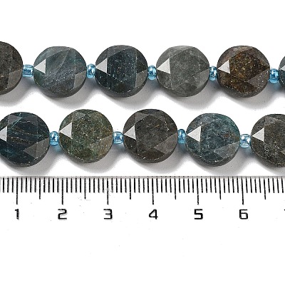 Natural Chrysocolla Beads Strands G-NH0004-034-1