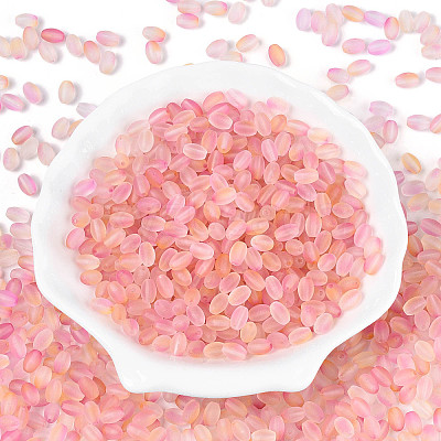 Frosted Glass Seed Beads SEED-N008-05B-1