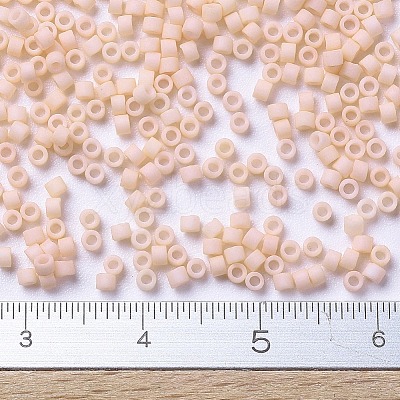 MIYUKI Delica Beads SEED-X0054-DB0354-1