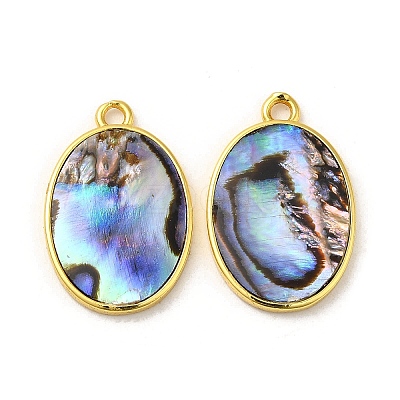 Natural Paua Shell Pendants KK-E059-11G-1