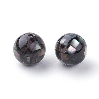 Natural Black Lip Shell Beads SSHEL-Q298-10mm-10-1