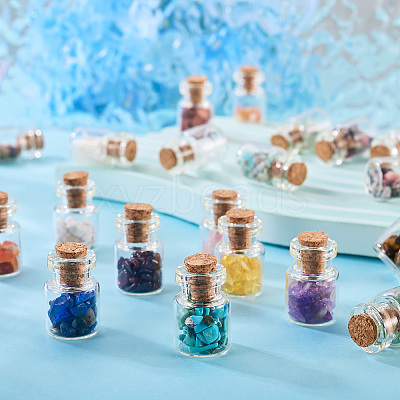 Natural & Synthetic Gemstone Chip Beads Glass Bottles G-KS0001-02-1