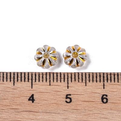Acrylic Beads SACR-C005-01H-1