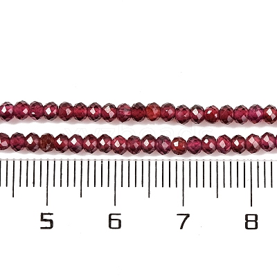 Natural Garnet Beads Strands X-G-F770-D02-02-1