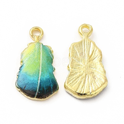 Rack Plating Alloy Pendants FIND-H043-04LG-01-1