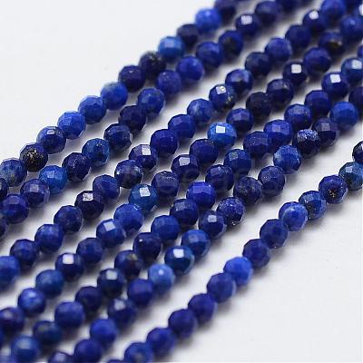 Natural Lapis Lazuli Bead Strands G-G663-48-2mm-1