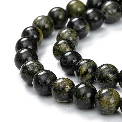 Natural Serpentine Beads Strands G-F709-01-1