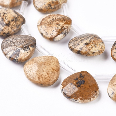 Natural Picture Jasper Beads Strands G-G821-04A-1