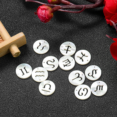Natural Freshwater Shell Charms SHEL-CJ0002-01-1