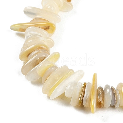 Natural Trochus Shell Beads Strands BSHE-H109-08-1