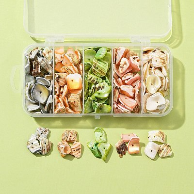 125G 5 Colors Natural Shell Bead Strands BSHE-FS0001-06B-1