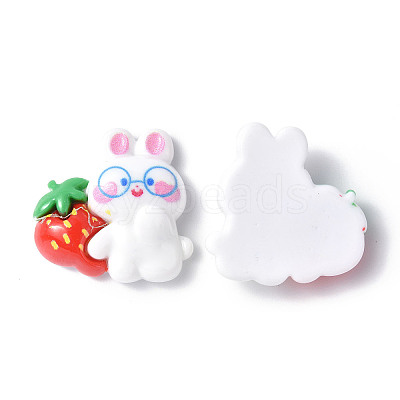 Opaque Resin Cabochons CRES-P023-06C-1